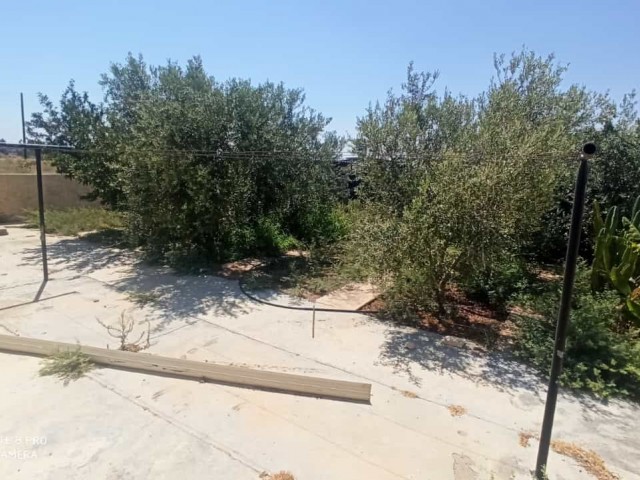 EINFAMILIENHAUS MIT GARTEN IN 1 HEKTAR LAND IM DORF FAMAGUSTA MUTLUAKA ** 