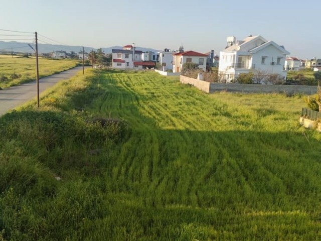 منطقه مسکونی برای فروش in Yeni Boğaziçi, فاماگوستا