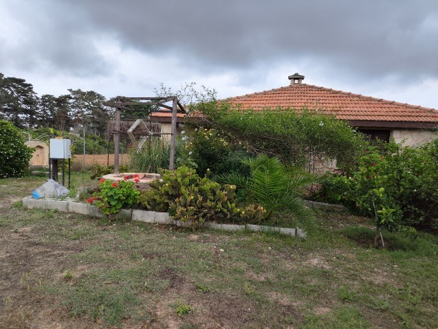 STEINHAUS IN 1 HEKTAR LAND IN DIPKARPAZ DORF 