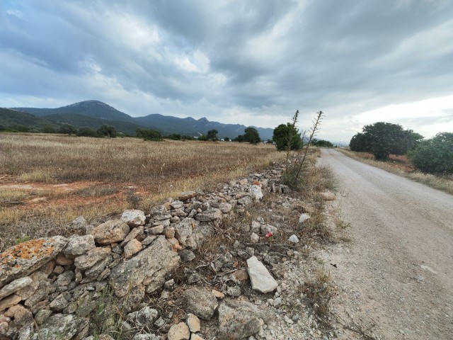 TATLISU KLEINE REGION ERENKOY HERRLICHES GRUNDSTÜCK, GEEIGNET FÜR DEN BAU EINES 2-ETAGEN-ZONEN-STANDORTS