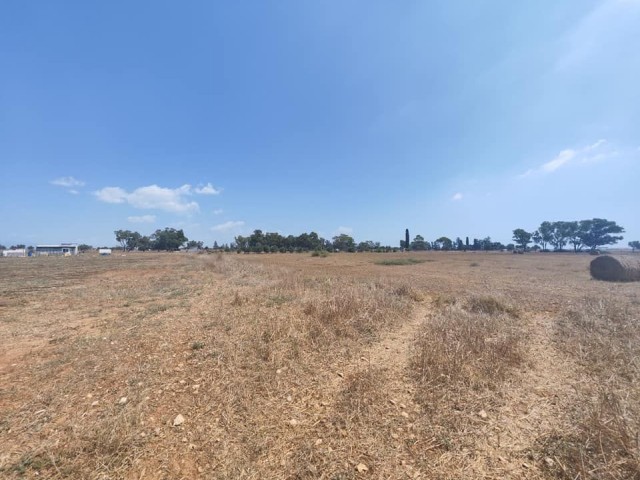 MORMENEKŞE REGION 1 PARZELLE INNERHALB DER STRASSE 4. 5 HEKTAR LAND 95. 000STG