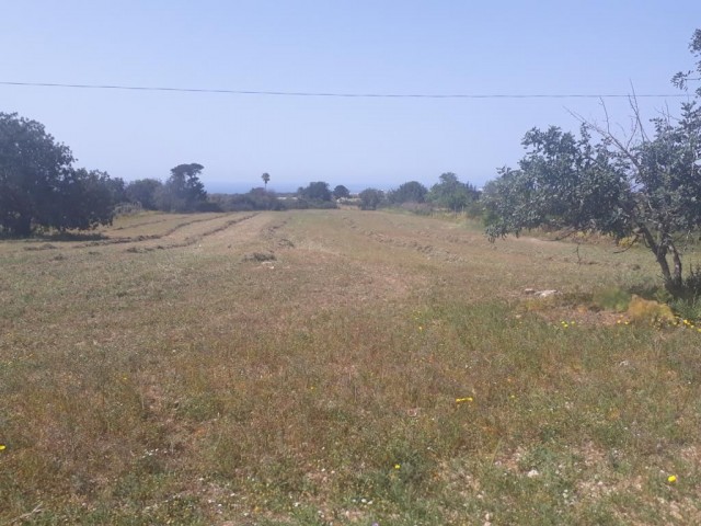 ZONIERTES GRUNDSTÜCK IN KKTC/DİPKARPAZDA MIT MEERBLICK, GEEIGNET FÜR DEN BAU EINES KOMPLEXES