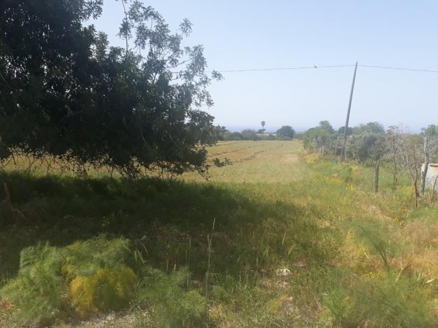 ZONED LAND IN KKTC/DİPKARPAZDA WITH SEA VIEW SUITABLE FOR HOUSING ESTATE CONSTRUCTION