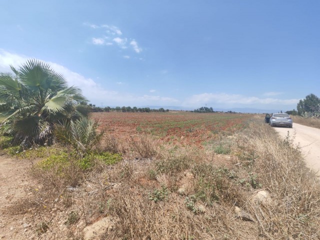 3.5 ACRES OF LAND IN THE SETTLEMENT AREA OF MORMENEKŞE VILLAGE