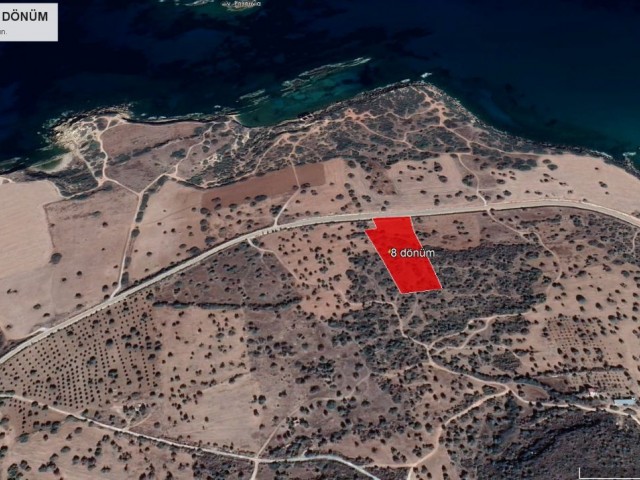 8 acres of land on the KARPAZ KYRENIA RING ROAD