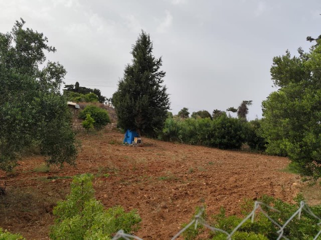 LAND WITH 1 DECORATION IN İSKELE ERENKÖY