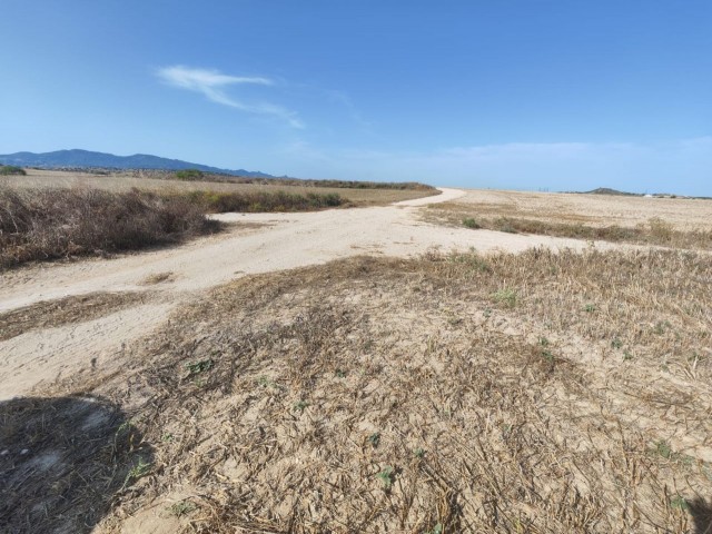 LAND WITH OFFICIAL ROAD IN İSKELE REGION WITH 23 DECEMBER 1 EVLEK