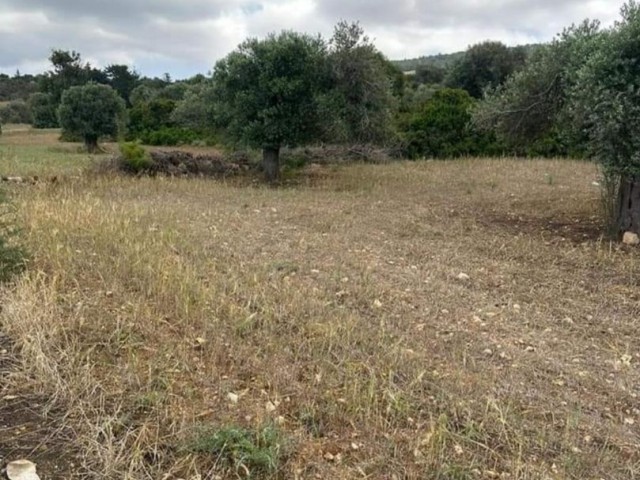 7 acres of land with sea view in SİPAHİ VILLAGE