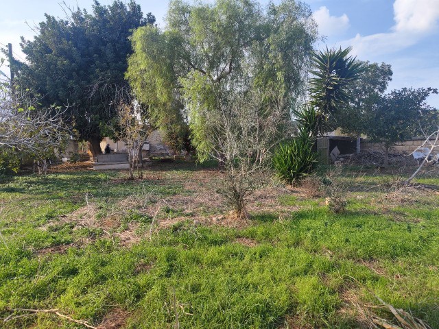 DETACHED HOUSE FOR SALE WITH 1430m2 LAND AREA IN CYPRUS İSKELE DERİNCE VILLAGE