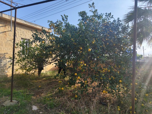 DETACHED HOUSE FOR SALE WITH 1430m2 LAND AREA IN CYPRUS İSKELE DERİNCE VILLAGE