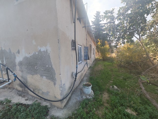 DETACHED HOUSE FOR SALE WITH 1430m2 LAND AREA IN CYPRUS İSKELE DERİNCE VILLAGE