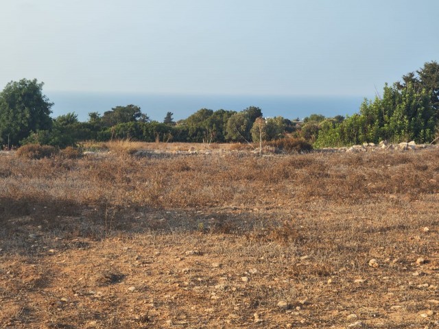 8 DECADES OF LAND WITH SEA VIEW SUITABLE FOR SITE CONSTRUCTION IN İSKELE SİPAHI VILLAGE