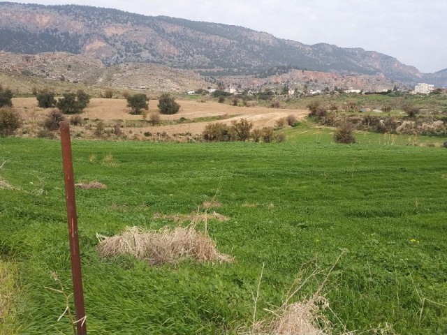 Zu verkaufen Grundstück in Kyrenia-Pinarbasi