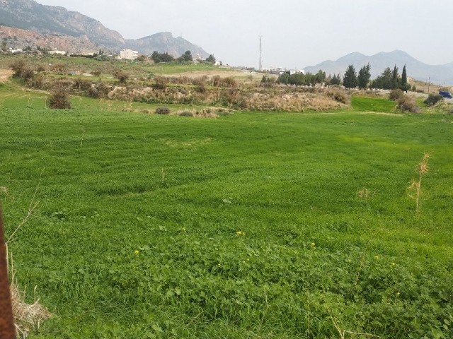 Land for Sale in Kyrenia-Pinarbasi