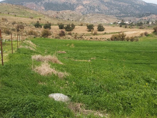 Land for Sale in Kyrenia-Pinarbasi