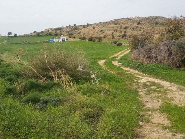 Land for Sale in Kyrenia-Pinarbasi