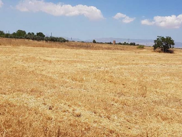 Land for sale in Famagusta mormenekshe dec ** 