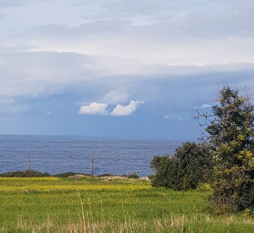 LAND FOR DEVELOPMENT IN TATLISU SMALL ERENKOY REGION