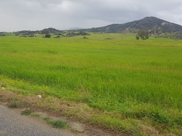 Grundstück mit Meer- und Bergblick in Iskele Balalan zu verkaufen (offen für Bebauung)