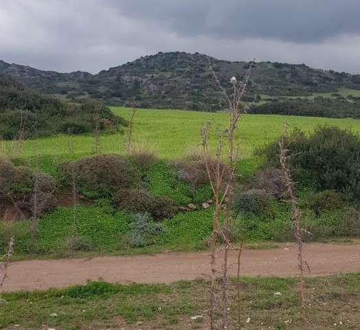 İskele Balalan deniz ve dağ manzaralı satılık arazi (imara açık)