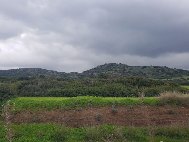 İskele Balalan deniz ve dağ manzaralı satılık arazi (imara açık)