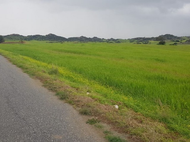 Iskele Balalan Bergblick Land zu verkaufen (offen für Entwicklung)