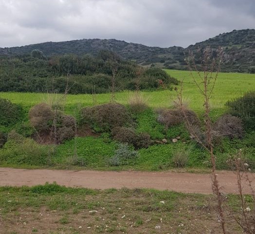 Iskele Balalan Bergblick Land zu verkaufen (offen für Entwicklung)