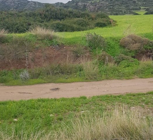 İskele Balalan  dağ manzaralı satılık arazi (imara açık)