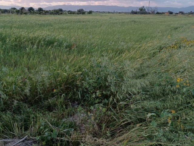 LAND OPEN FOR DEVELOPMENT IN MORMENEKŞE VILLAGE