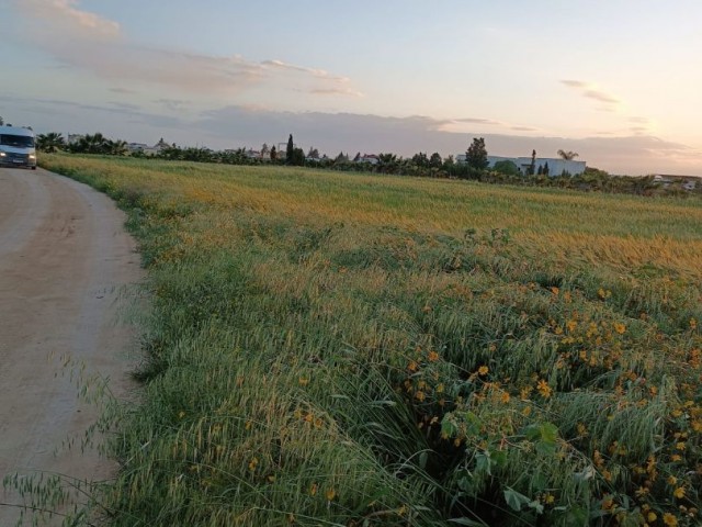 LAND OPEN FOR DEVELOPMENT IN MORMENEKŞE VILLAGE