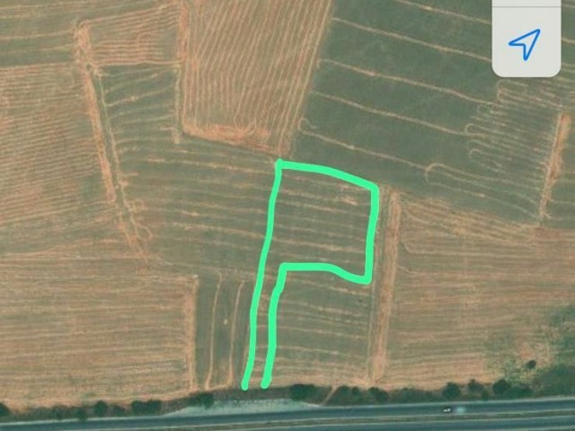 SECTION 96 FIELD FOR SALE IN FAMAGUSTA KORKUTEL