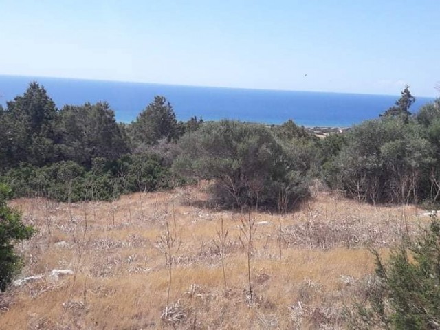 Investment coupon plot in the new pier area, 500 meters from the sea