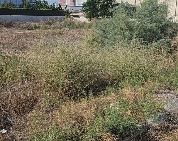 Land for sale in Famagusta Tuzla region