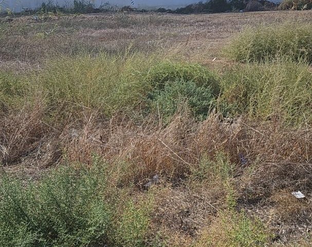 Land for sale in Famagusta Tuzla region