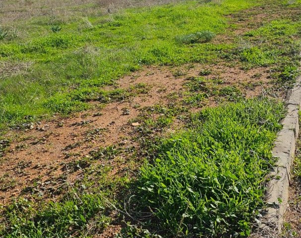 Zoned land in Famagusta Yeniboğaziçi area, 400 meters from the sea