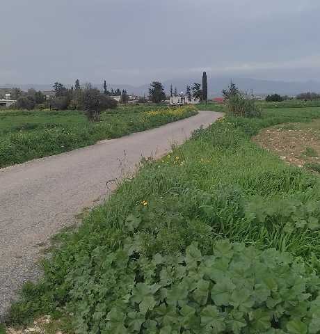 میدان باز برای ساخت و ساز در اسکله Aygün