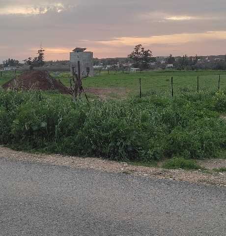 Aygün iskelede imara açık tarla