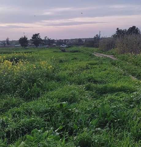 زمین برای ساخت و ساز در اسکله Aygün باز است