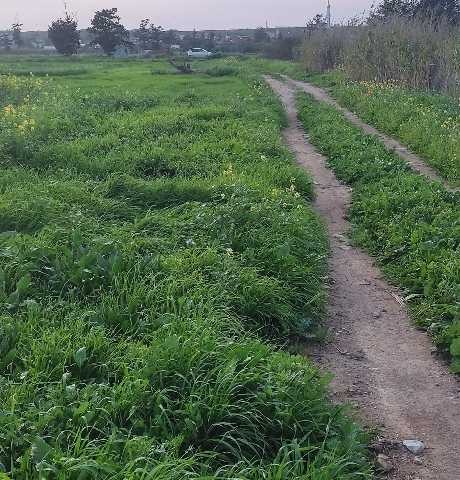 زمین برای ساخت و ساز در اسکله Aygün باز است