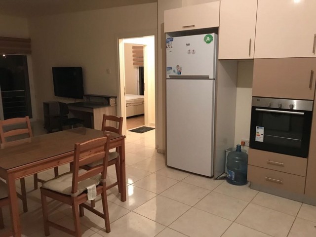 2+1 ground floor fully furnished flat for rent with garden in Dumlupınar area