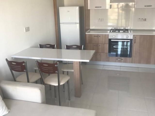 2+1 FULLY FURNISHED FLAT IN YENISEHIR