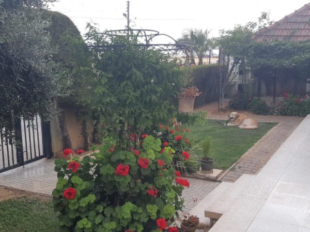 3+2 TWIN DETACHED HOUSE WITH LARGE GARDEN IN CHANGİR