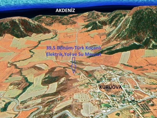 Kuruova'da Türk Koçanlı Arazi