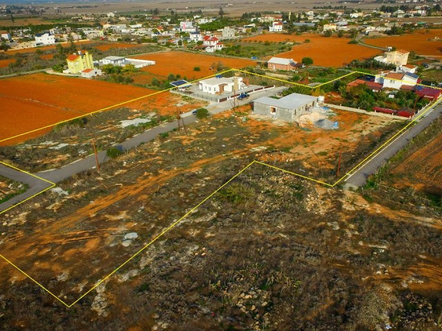 Large Plots with Turkish Titles in Kuzucuk