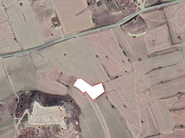 2,5 Hektar Feld mit Türkischem Maiskolben in Sazlıköy