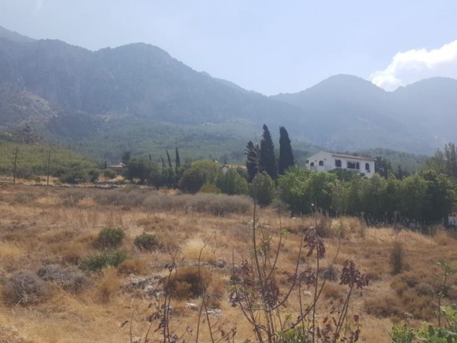 Villa For Sale in Lapta, Kyrenia