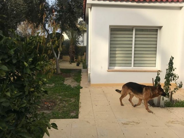 Villa To Rent in Karaoğlanoğlu, Kyrenia