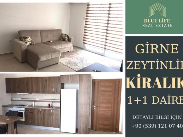 Flat To Rent in Zeytinlik, Kyrenia