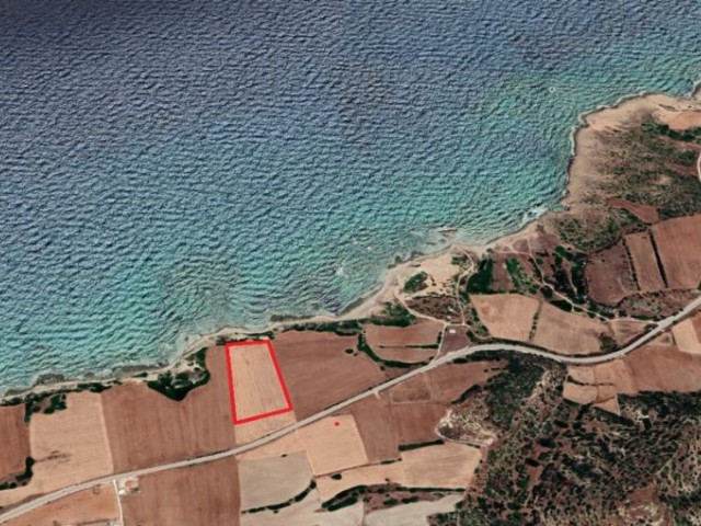 TURKISH TITLED FIELD FOR SALE IN İSKELE BALALAN