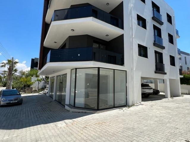3+1 آپارتمان برای فروش در GÖNYELİ